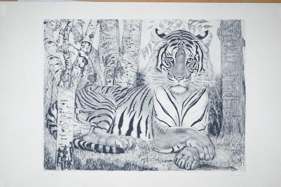 A folio of etchings, a lithograph and four black and white photographs to include Edmund Wiiralt, tiger, signed and numbered in pencil and Johnn Friedlaender, Fre Sol Bleu, unframed, largest 65 x 50cm